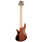 Schecter Guitar Research SC-6 6-String Bass Guitar Natural Satin
