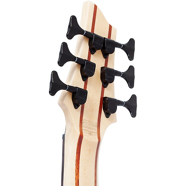 Schecter Guitar Research SC-6 6-String Bass Guitar Natural Satin