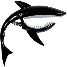 COOL Shark Capo Black