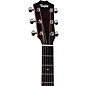Taylor 14ce Grand Auditorium Acoustic-Electric Guitar Natural