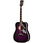 Gibson Bats in Flight Acoustic Guitar - Purple Burst