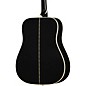 Gibson Bats in Flight Acoustic Guitar - Ebony