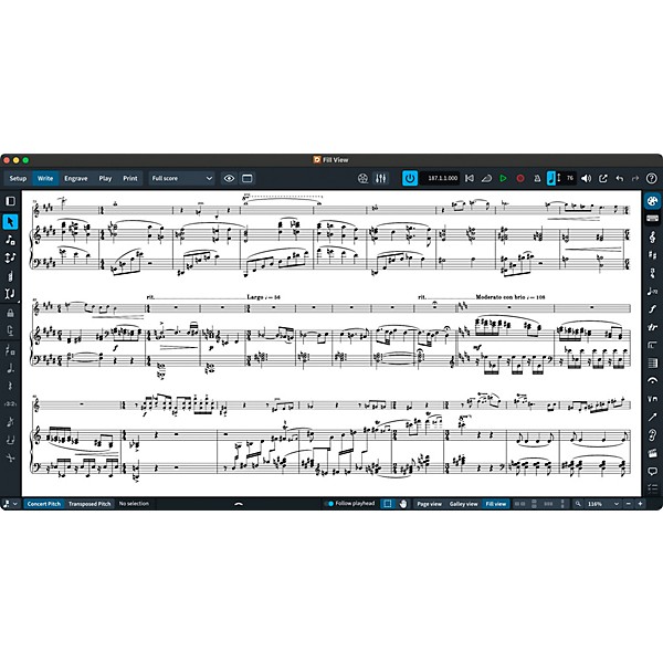 Steinberg Dorico Elements 6 Scoring Software