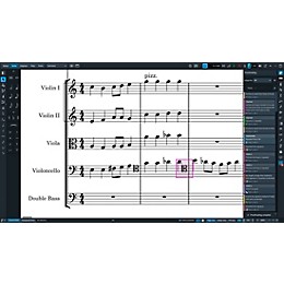Steinberg Dorico Pro 6 Scoring Software