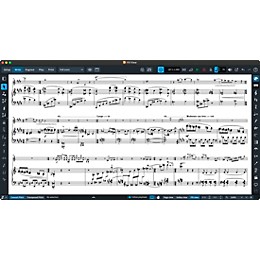 Steinberg Dorico Pro 6 Scoring Software