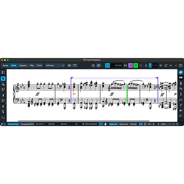 Steinberg Dorico Pro 6 Scoring Software