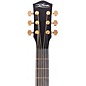 McPherson Carbon Series Sable with Gold Hardware Acoustic-Electric Guitar Standard Top