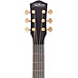 McPherson Carbon Series Sable with Gold Hardware Acoustic-Electric Guitar Honeycomb Top