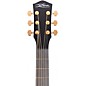 McPherson Carbon Series Sable with Gold Hardware Acoustic-Electric Guitar Camo Top