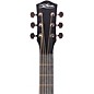 McPherson Carbon Series Sable with Black Hardware Acoustic-Electric Guitar Honeycomb Top