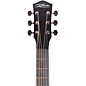 McPherson Carbon Series Sable with Black Hardware Acoustic-Electric Guitar Standard Top