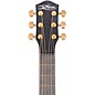 McPherson Carbon Series Touring with Gold Hardware Acoustic-Electric Guitar Standard Top