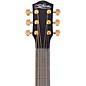 McPherson Carbon Series Touring with Gold Hardware Acoustic-Electric Guitar Honeycomb Top