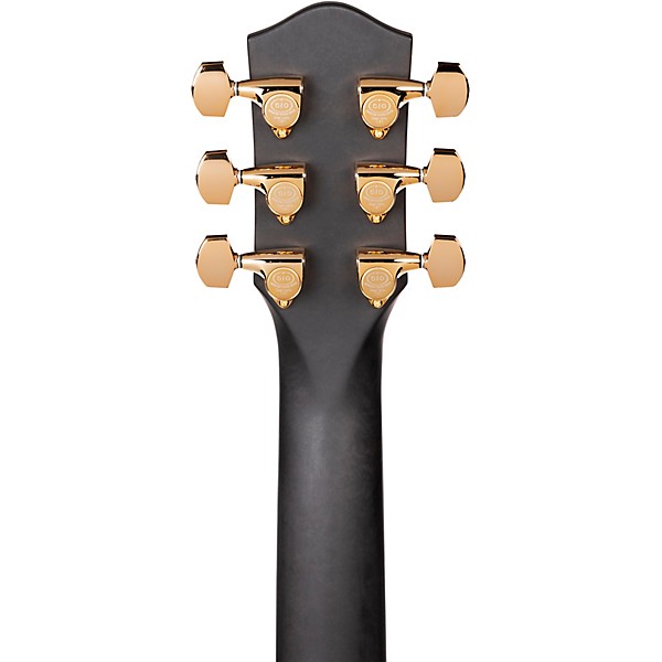 McPherson Carbon Series Touring with Gold Hardware Acoustic-Electric Guitar Honeycomb Top
