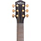 McPherson Carbon Series Touring with Gold Hardware Acoustic-Electric Guitar Camo Top