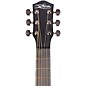 McPherson Carbon Series Touring with Black Hardware Acoustic-Electric Guitar Honeycomb Top