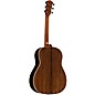 Taylor Gold Label 717e Grand Pacific Acoustic-Electric Guitar Golden Brown Shaded Edgeburst