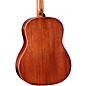 Taylor Gold Label 517e Grand Pacific Acoustic-Electric Guitar Golden Brown Shaded Edgeburst
