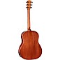Taylor Gold Label 517e Grand Pacific Acoustic-Electric Guitar Golden Brown Shaded Edgeburst