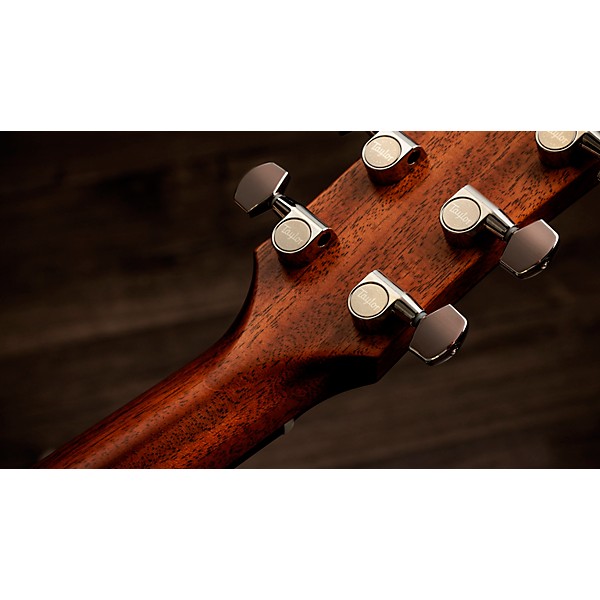 Taylor Gold Label 517e Grand Pacific Acoustic-Electric Guitar Golden Brown Shaded Edgeburst