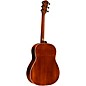 Taylor Gold Label 517e Grand Pacific Acoustic-Electric Guitar Natural