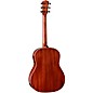 Taylor Gold Label 517e Grand Pacific Acoustic-Electric Guitar Golden Brown Shaded Edgeburst