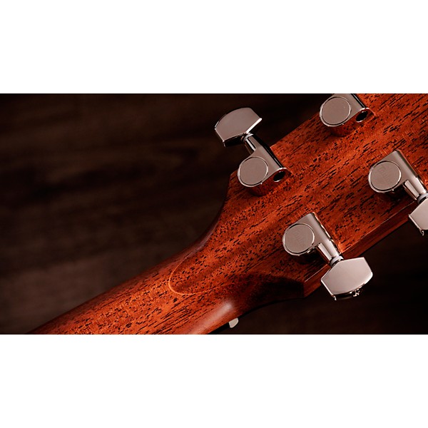 Taylor Gold Label 517e Grand Pacific Acoustic-Electric Guitar Golden Brown Shaded Edgeburst