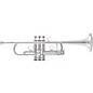 Bach C190SL229F Stradivarius Series New York Inpired Professional C Trumpet Silver plated thumbnail