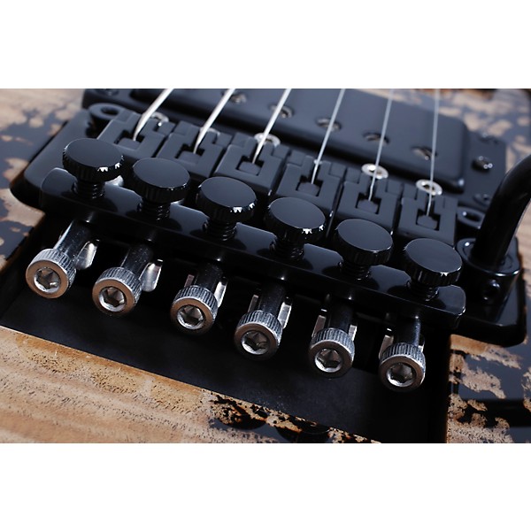 Schecter Guitar Research C-1 FR-S Electro-Resin Electric Guitar - Natural with Black Burst