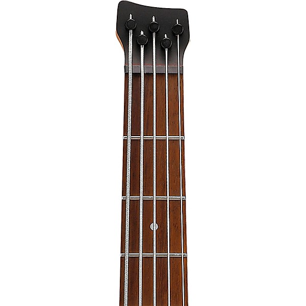 Ibanez EHB605 5-String Electric Bass Guitar Purist Blue Matte