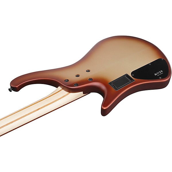 Ibanez EHB600 4-String Electric Bass Guitar Charred Champagne Burst Matte