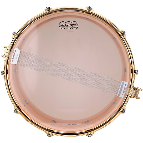 Ludwig Limited-Edition Maple Exotic Snare Drum With Steinway Crown Jewel Veneer & Brass Hardware 14 x 5 in. Iced Birch