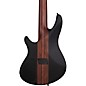 Schecter Guitar Research Charles Berthoud CB-5 5-String Electric Bass Guitar See Thru Black Satin