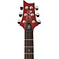 PRS SE DGT Standard Moons Electric Guitar Vintage Cherry