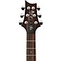 PRS SE DGT Standard Moons Electric Guitar Mccarty Tobacco Sunburst
