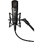 Warm Audio WA-87jr - Large Diaphragm Multi-Polar Pattern Condenser Microphone Black