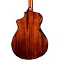 Breedlove Solo Pro Concert Nylon-String Classical Acoustic-Electric Guitar Edge Burst