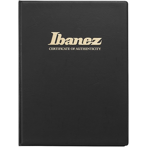 Ibanez IV1RG Visions Electric Guitar