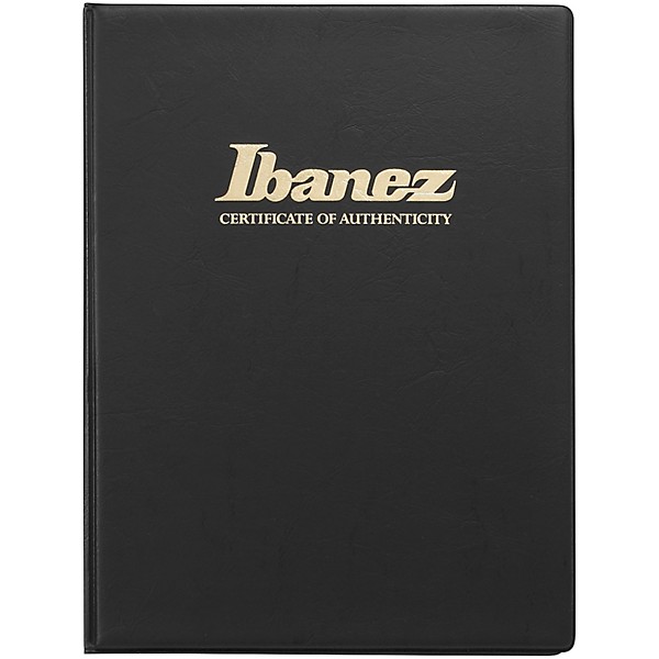 Ibanez IV2RG Visions Electric Guitar