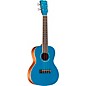 Cordoba 15C Concert Ukulele - Sea Sky
