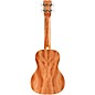 Cordoba 15C Concert Ukulele - Catalonia Green