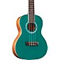 Cordoba 15C Concert Ukulele - Catalonia Green