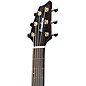 Breedlove Performer Pro Concert Acoustic-Electric Guitar Aged Toner