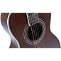 Washburn Victorian Parlor Acoustic Guitar Vintage Brown