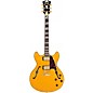 D'Angelico Excel DC Semi-Hollow Electric Guitar Amber