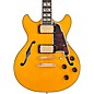 D'Angelico Excel Mini DC Semi-Hollow Electric Guitar Amber thumbnail