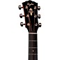 Taylor Gold Label 514e Super Auditorium Acoustic-Electric Guitar Golden Brown Shaded Edgeburst