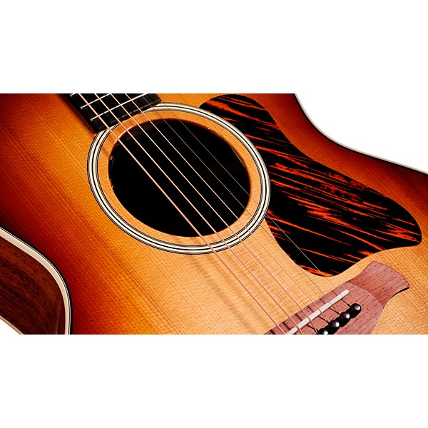 Taylor Gold Label 514e Super Auditorium Acoustic-Electric Guitar Golden Brown Shaded Edgeburst
