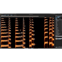 Steinberg DAC SpectraLayers Pro 12 Audio Plug-in