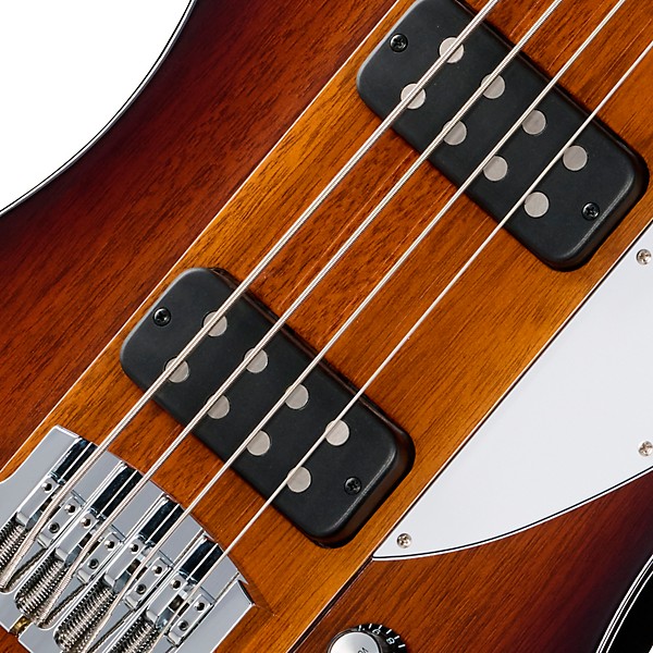 Gibson Thunderbird Electric Bass Guitar - Tobacco Burst Perimeter